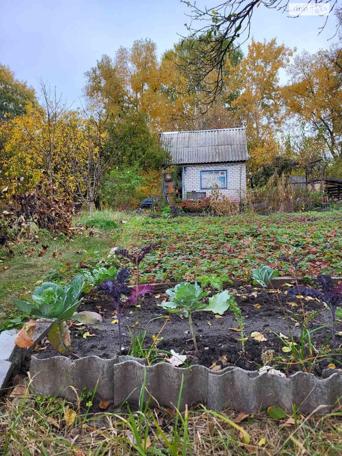 одноповерховий будинок, 17 кв. м, цегла. Продаж у Власівці фото 1