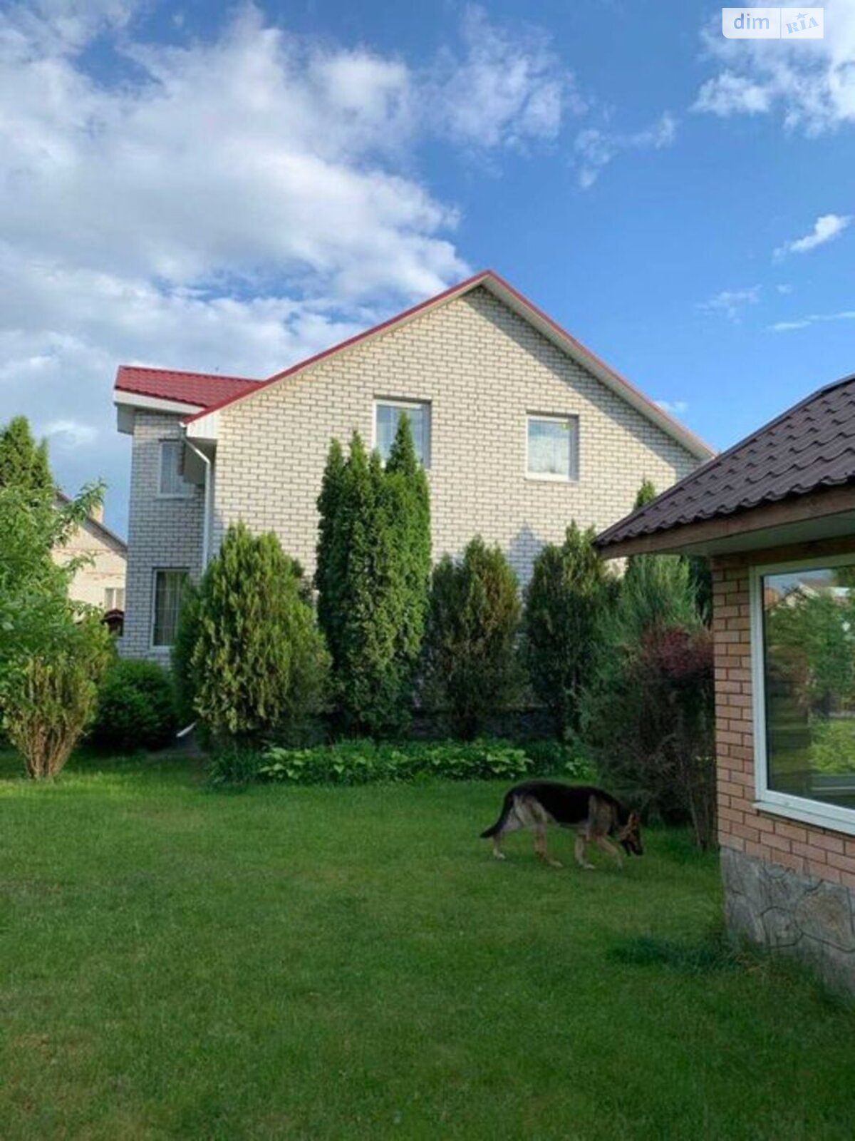 двухэтажный дом беседка, 166 кв. м, цегла. Продажа в Власовке фото 1