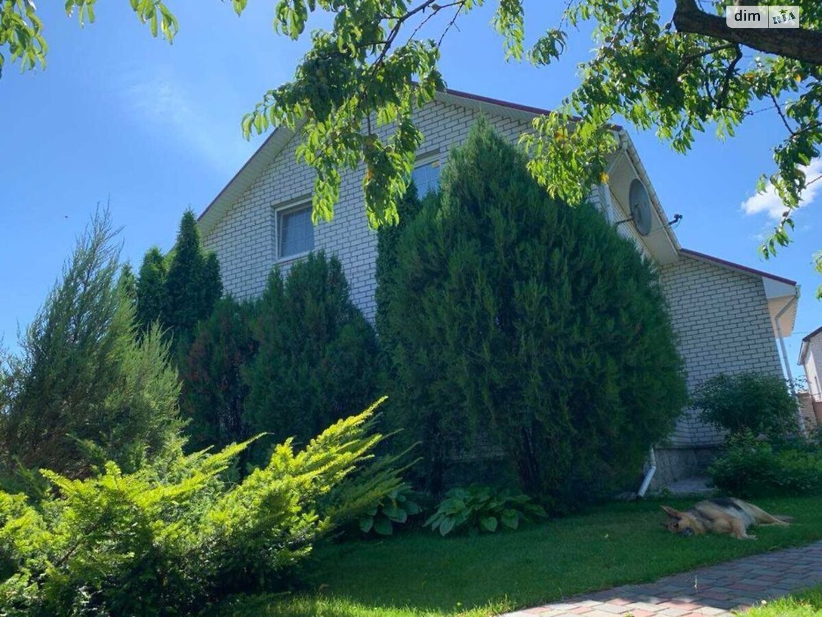 двухэтажный дом беседка, 166 кв. м, цегла. Продажа в Власовке фото 1