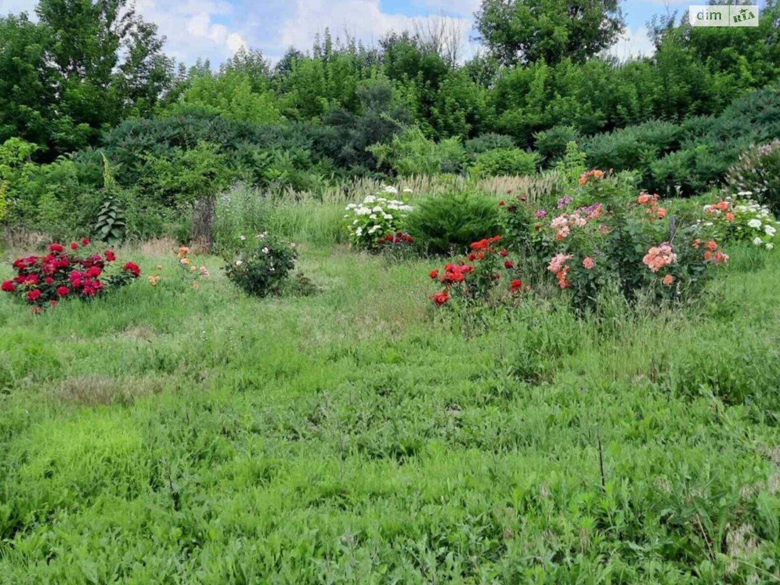 одноэтажный дом беседка, 128.3 кв. м, кирпич. Продажа в Водяном фото 1 одноэтажный дом беседка, 128.3 кв. м, кирпич. Продажа в Водяном фото 1