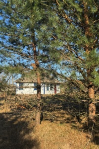 одноповерховий будинок, 46.2 кв. м, глинобитний. Продаж у Волиці фото 2