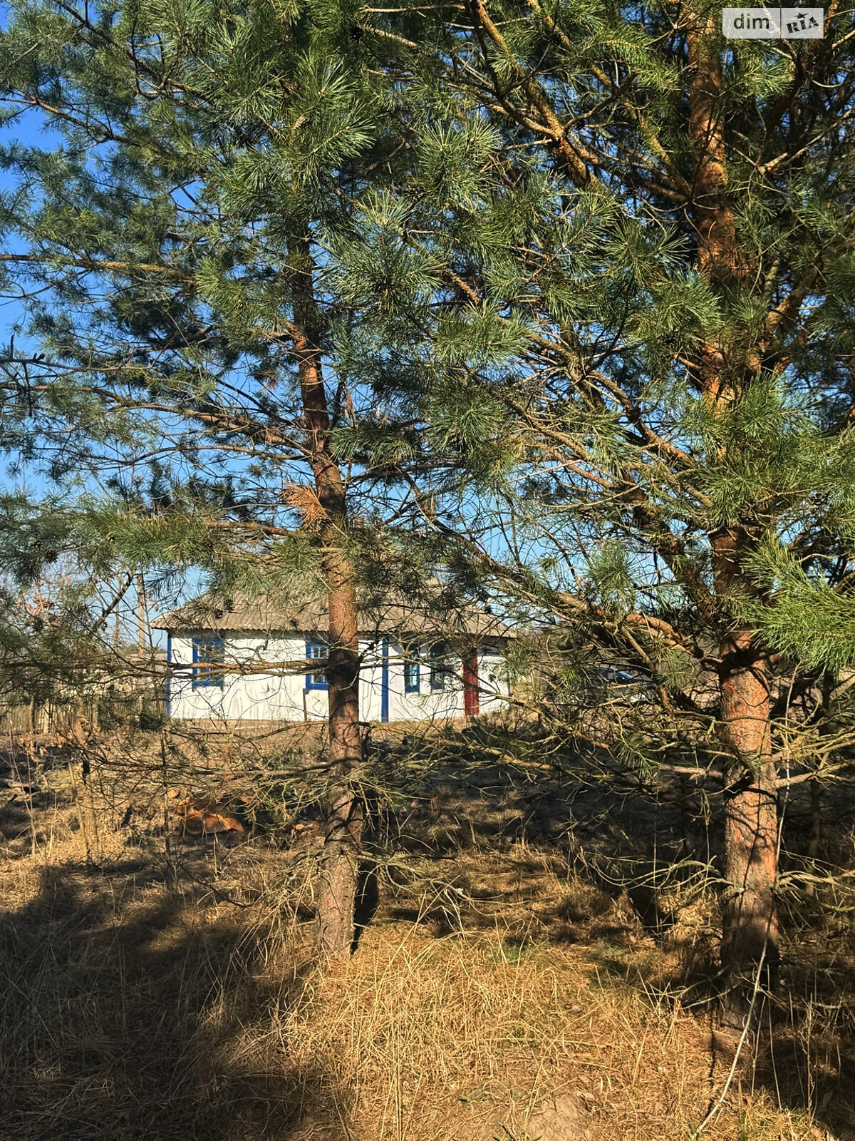 одноповерховий будинок, 46.2 кв. м, глинобитний. Продаж у Волиці фото 1 одноповерховий будинок, 46.2 кв. м, глинобитний. Продаж у Волиці фото 1