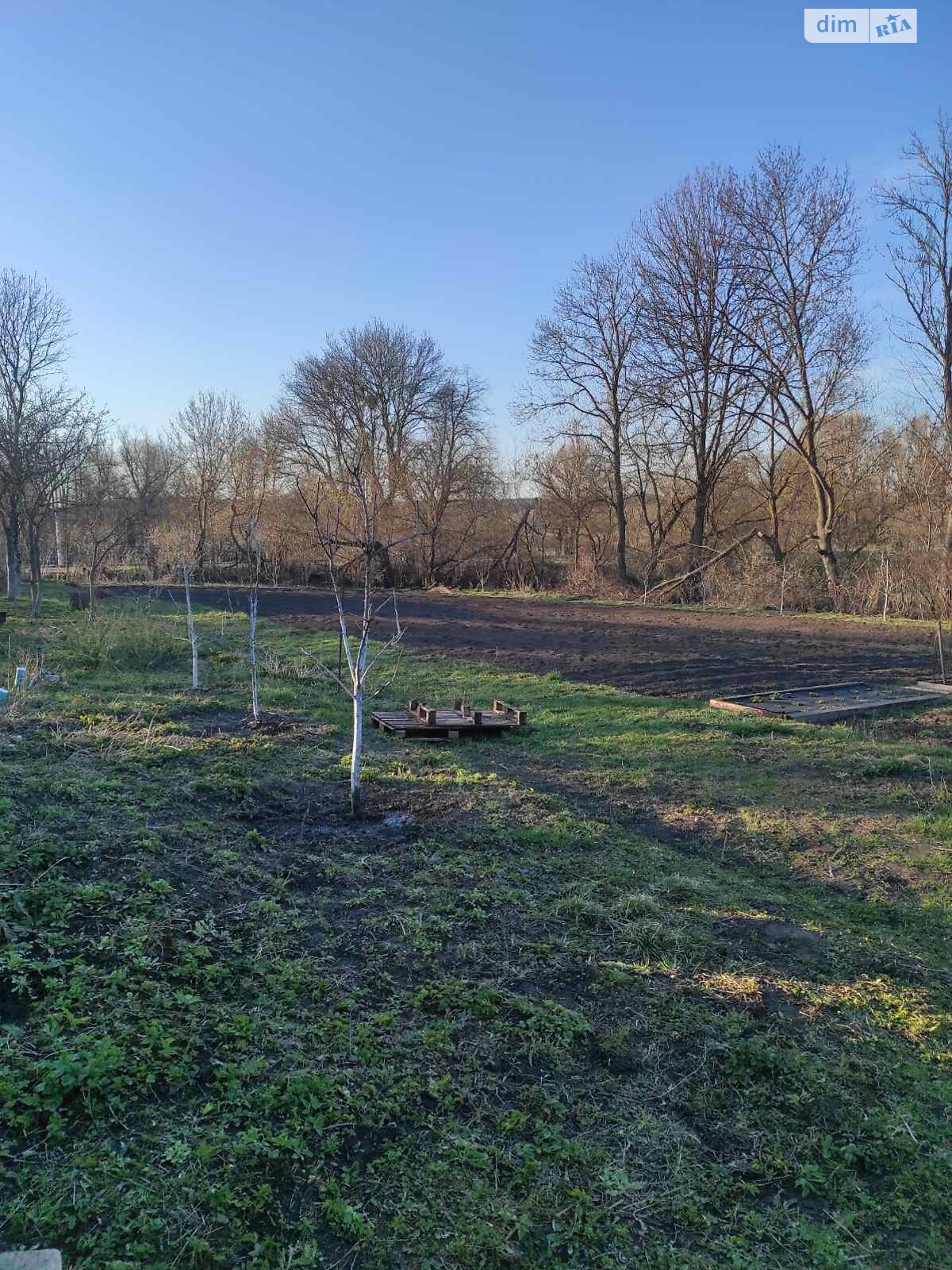 одноэтажный дом, 51 кв. м, кирпич. Продажа в Волице фото 1 одноэтажный дом, 51 кв. м, кирпич. Продажа в Волице фото 1