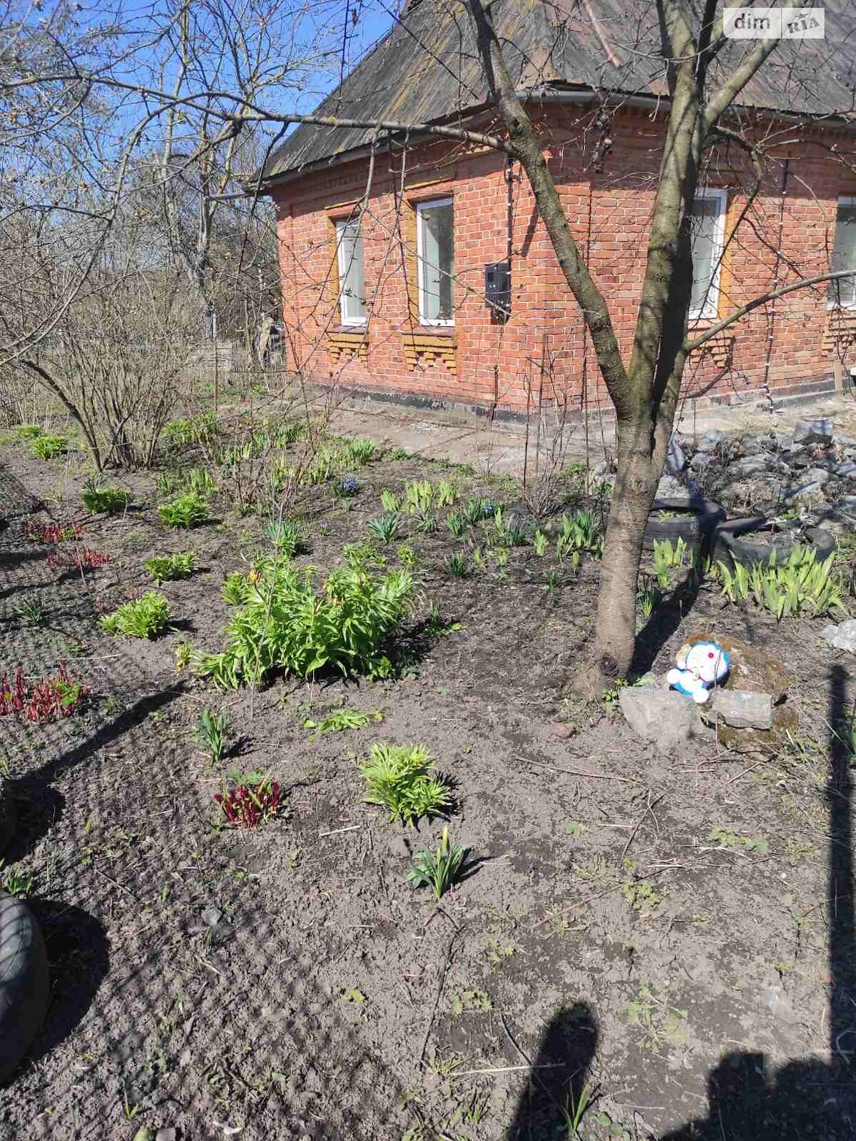 одноэтажный дом, 51 кв. м, кирпич. Продажа в Волице фото 1 одноэтажный дом, 51 кв. м, кирпич. Продажа в Волице фото 1