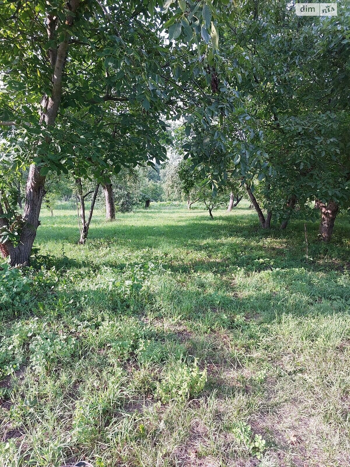 одноэтажный дом с верандой, 65.5 кв. м, кирпич. Продажа в Вольном фото 1 одноэтажный дом с верандой, 65.5 кв. м, кирпич. Продажа в Вольном фото 1