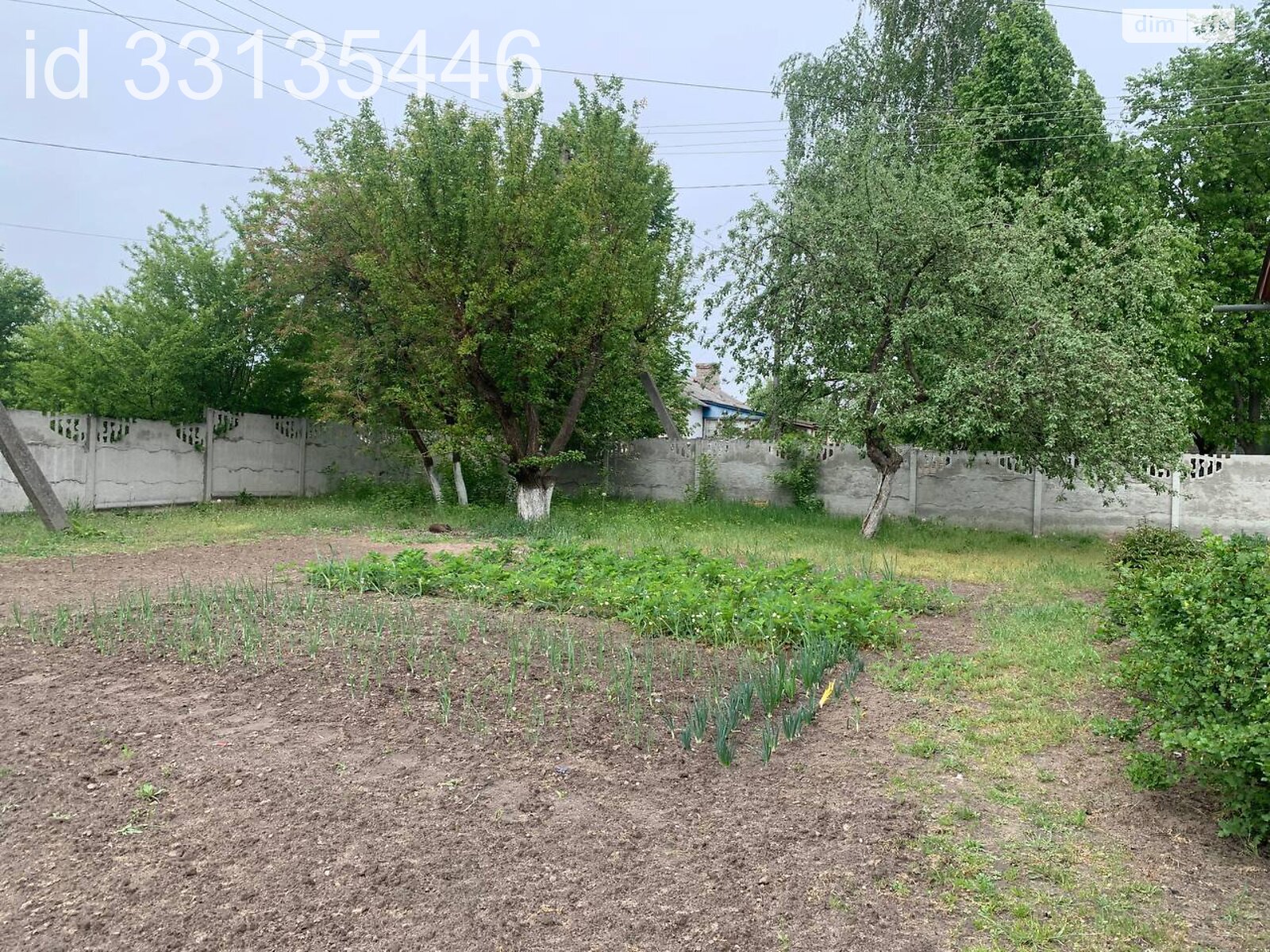 одноповерховий будинок з верандою, 79.8 кв. м, цегла. Продаж у Вільне фото 1 одноповерховий будинок з верандою, 79.8 кв. м, цегла. Продаж у Вільне фото 1
