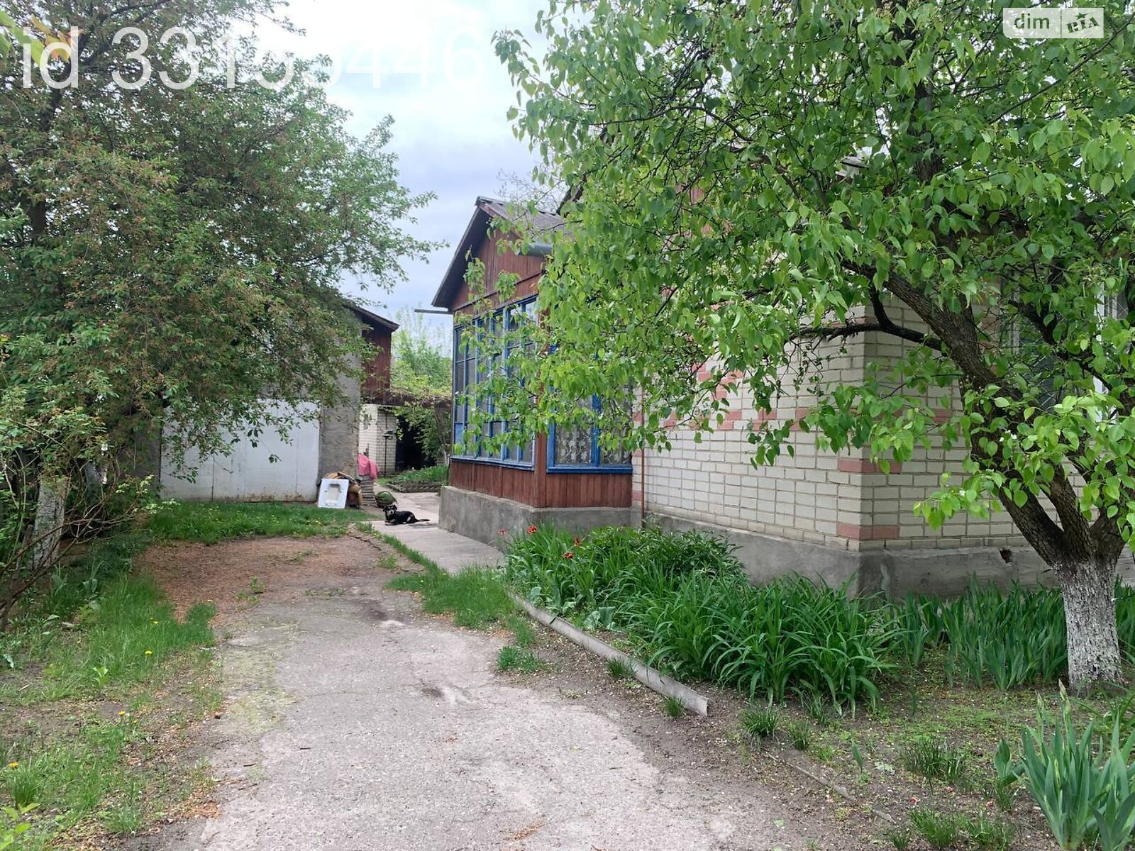 одноповерховий будинок з верандою, 79.8 кв. м, цегла. Продаж у Вільне фото 1 одноповерховий будинок з верандою, 79.8 кв. м, цегла. Продаж у Вільне фото 1