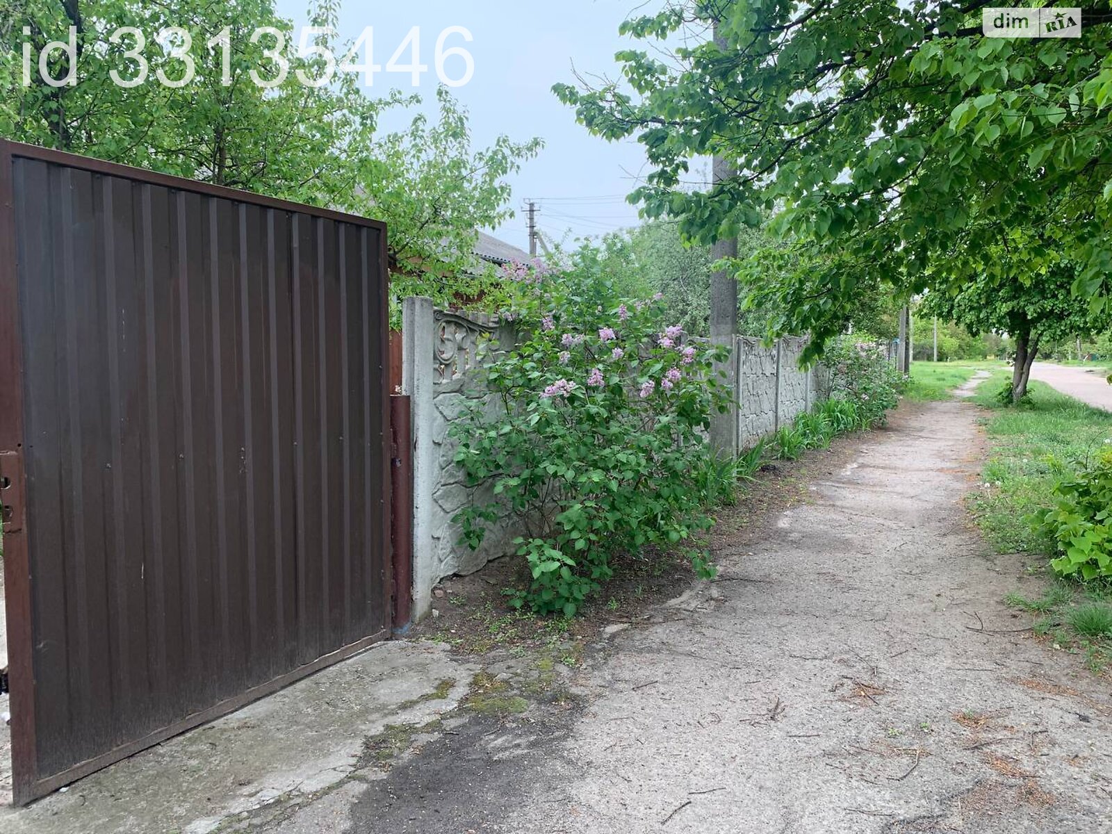 одноповерховий будинок з верандою, 79.8 кв. м, цегла. Продаж у Вільне фото 1 одноповерховий будинок з верандою, 79.8 кв. м, цегла. Продаж у Вільне фото 1