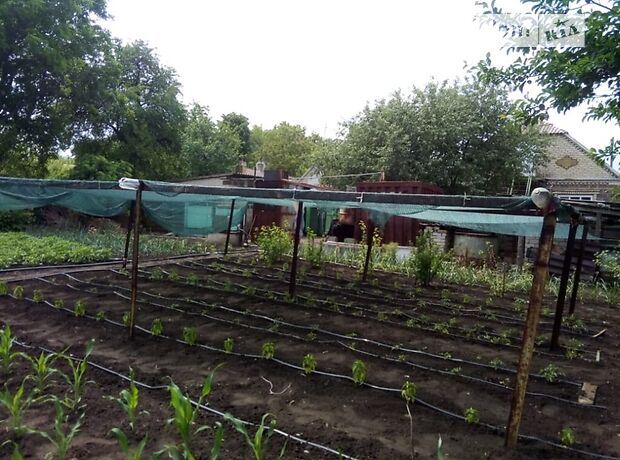 одноповерховий будинок з каміном, 120 кв. м, шлакоблок. Продаж в Ольгинці (Донецька обл.) фото 1 одноповерховий будинок з каміном, 120 кв. м, шлакоблок. Продаж в Ольгинці (Донецька обл.) фото 1