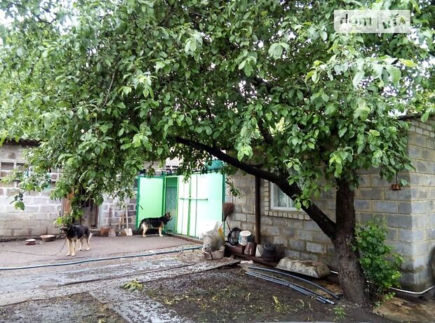 одноповерховий будинок з каміном, 120 кв. м, шлакоблок. Продаж в Ольгинці (Донецька обл.) фото 1 одноповерховий будинок з каміном, 120 кв. м, шлакоблок. Продаж в Ольгинці (Донецька обл.) фото 1