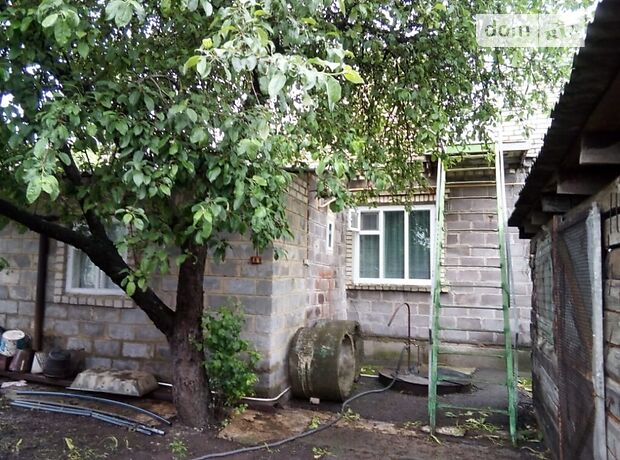 одноповерховий будинок з каміном, 120 кв. м, шлакоблок. Продаж в Ольгинці (Донецька обл.) фото 1