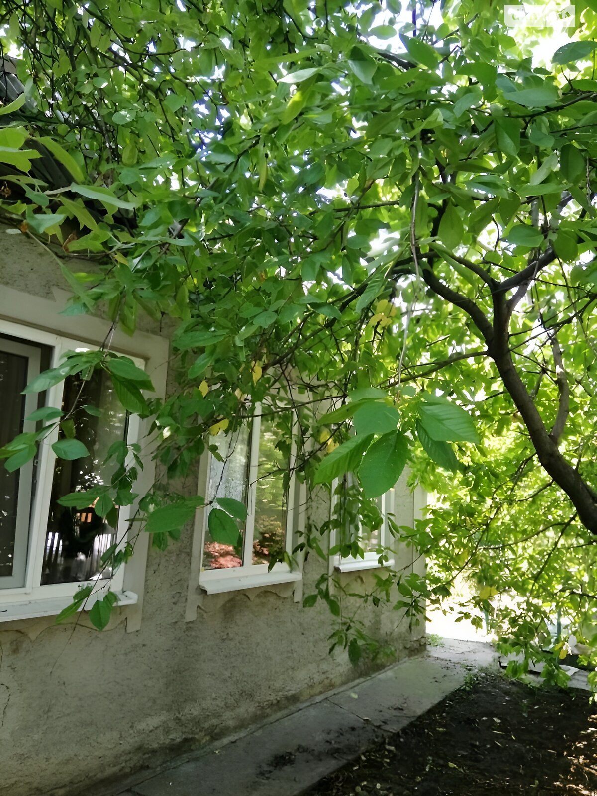 одноповерховий будинок з опаленням, 53 кв. м, шлакоблок. Продаж у Вільнянську фото 1 одноповерховий будинок з опаленням, 53 кв. м, шлакоблок. Продаж у Вільнянську фото 1