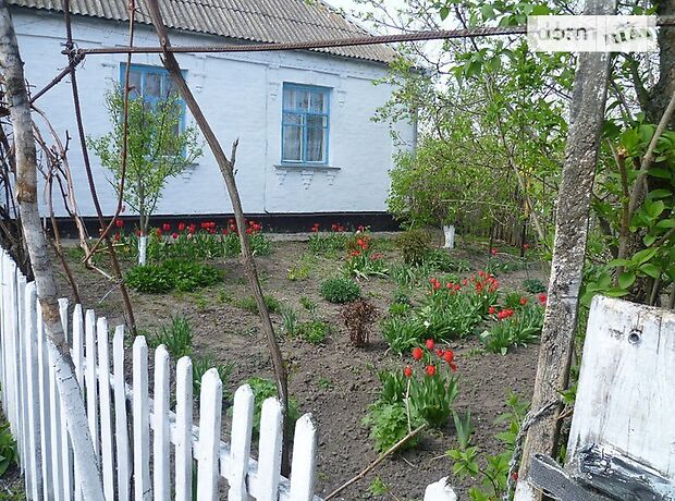 одноэтажный дом с садом, 70.5 кв. м, кирпич. Продажа в Березне (Киевская обл.) фото 1 одноэтажный дом с садом, 70.5 кв. м, кирпич. Продажа в Березне (Киевская обл.) фото 1