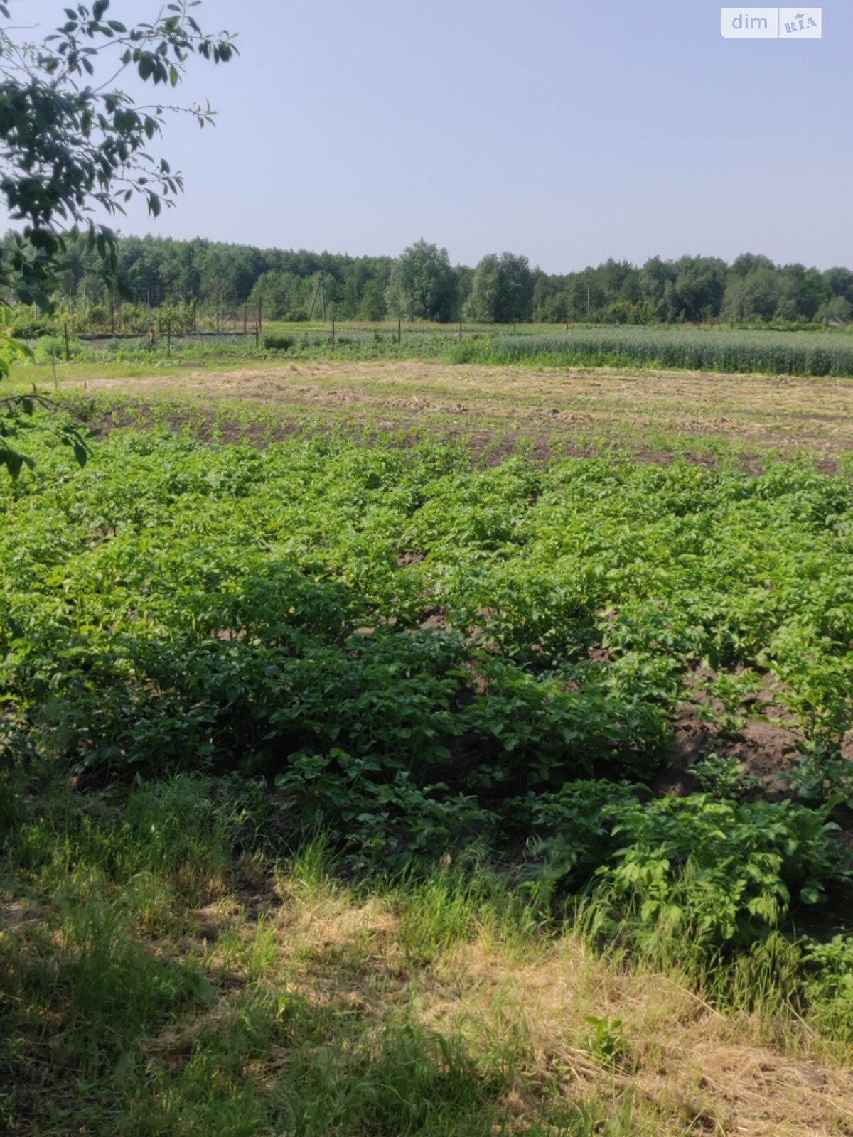 одноповерховий будинок, 52.4 кв. м, дерево та цегла. Продаж в Володарці, район Володарка фото 1