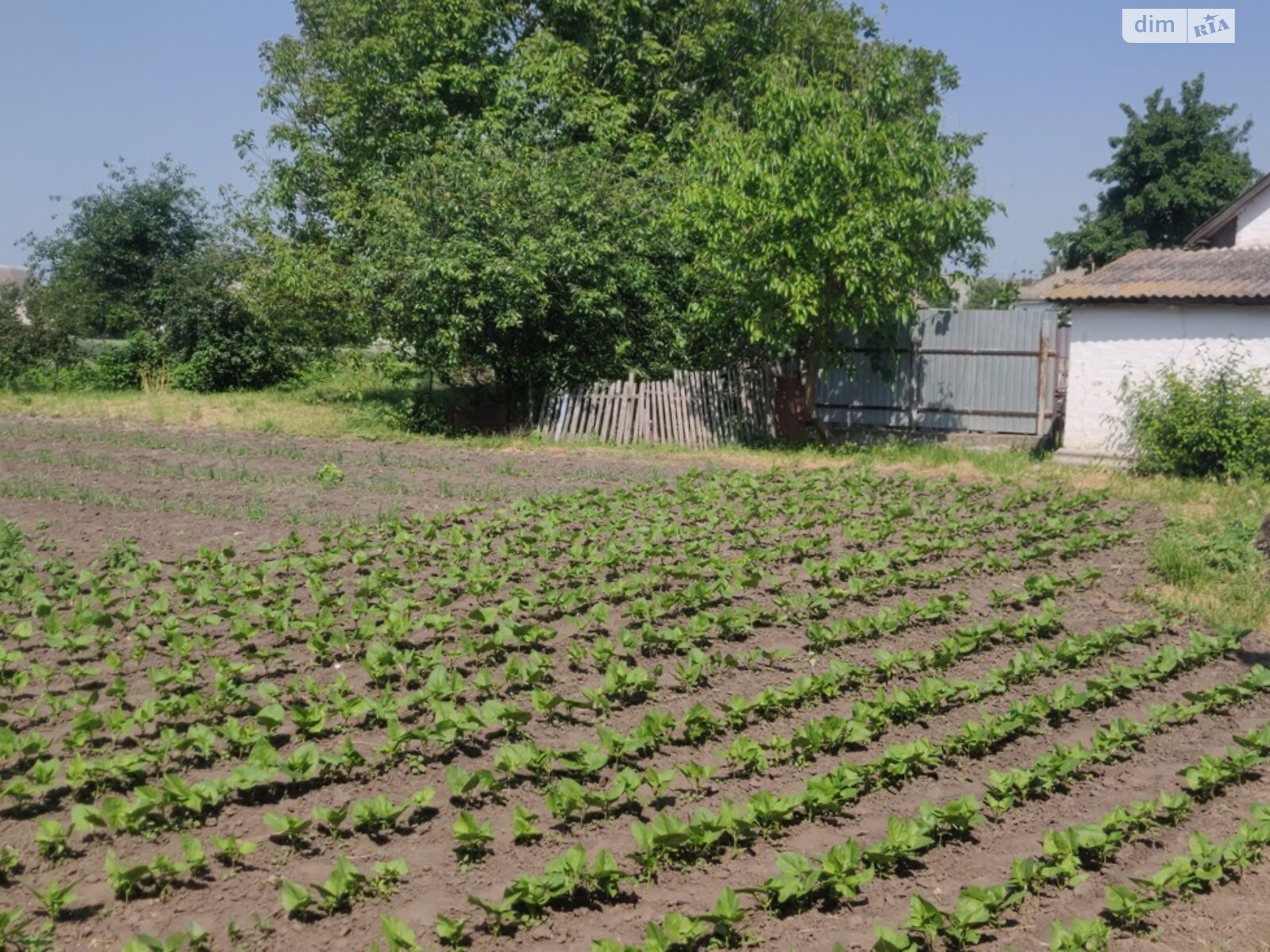 одноповерховий будинок, 52.4 кв. м, дерево та цегла. Продаж в Володарці, район Володарка фото 1