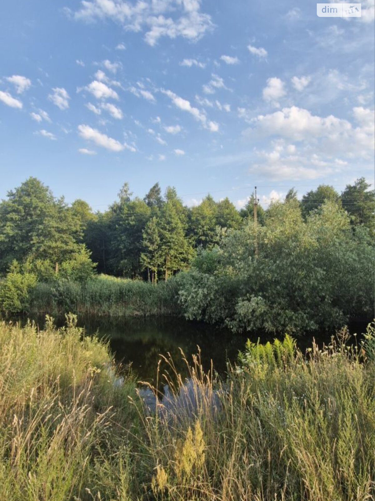 двоповерховий будинок, 148 кв. м, цегла. Продаж у Вільську фото 1