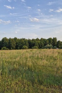 двоповерховий будинок, 148 кв. м, цегла. Продаж у Вільську фото 2