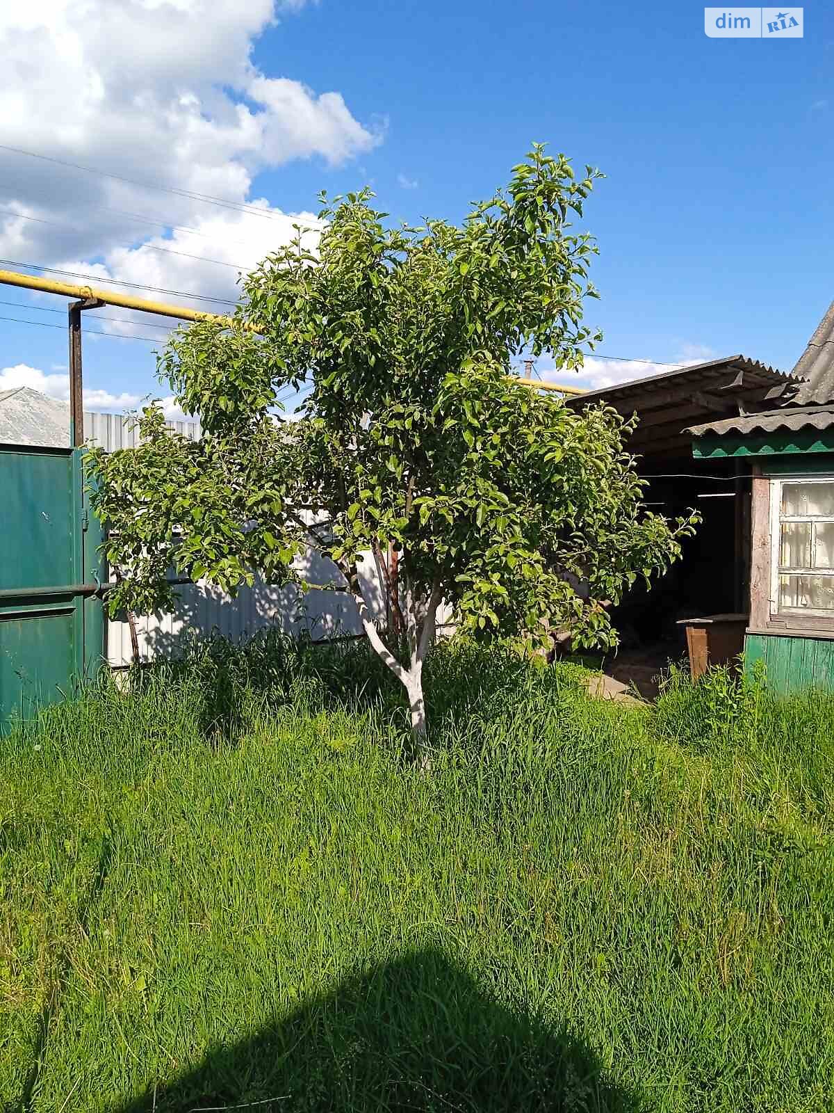 одноэтажный дом, 50 кв. м, брус. Продажа в Воронеже фото 1 одноэтажный дом, 50 кв. м, брус. Продажа в Воронеже фото 1