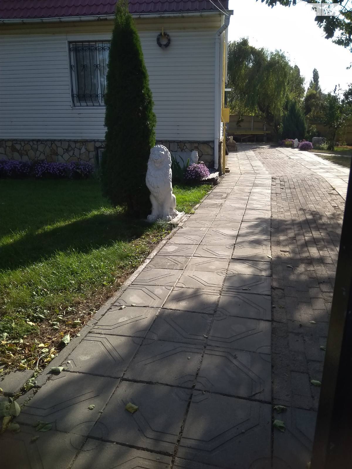 одноповерховий будинок з опаленням, 300 кв. м, цегла. Продаж у Воронькові фото 1 одноповерховий будинок з опаленням, 300 кв. м, цегла. Продаж у Воронькові фото 1