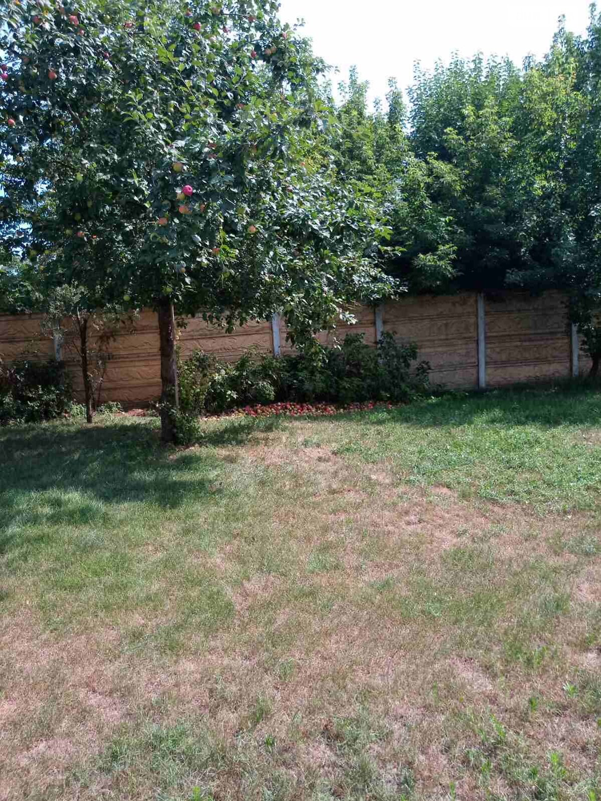 одноповерховий будинок з опаленням, 300 кв. м, цегла. Продаж у Воронькові фото 1 одноповерховий будинок з опаленням, 300 кв. м, цегла. Продаж у Воронькові фото 1