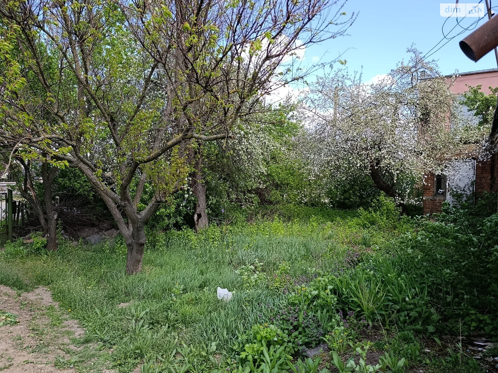 одноповерховий будинок з верандою, 109.7 кв. м, цегла. Продаж у Вороновиці фото 1 одноповерховий будинок з верандою, 109.7 кв. м, цегла. Продаж у Вороновиці фото 1