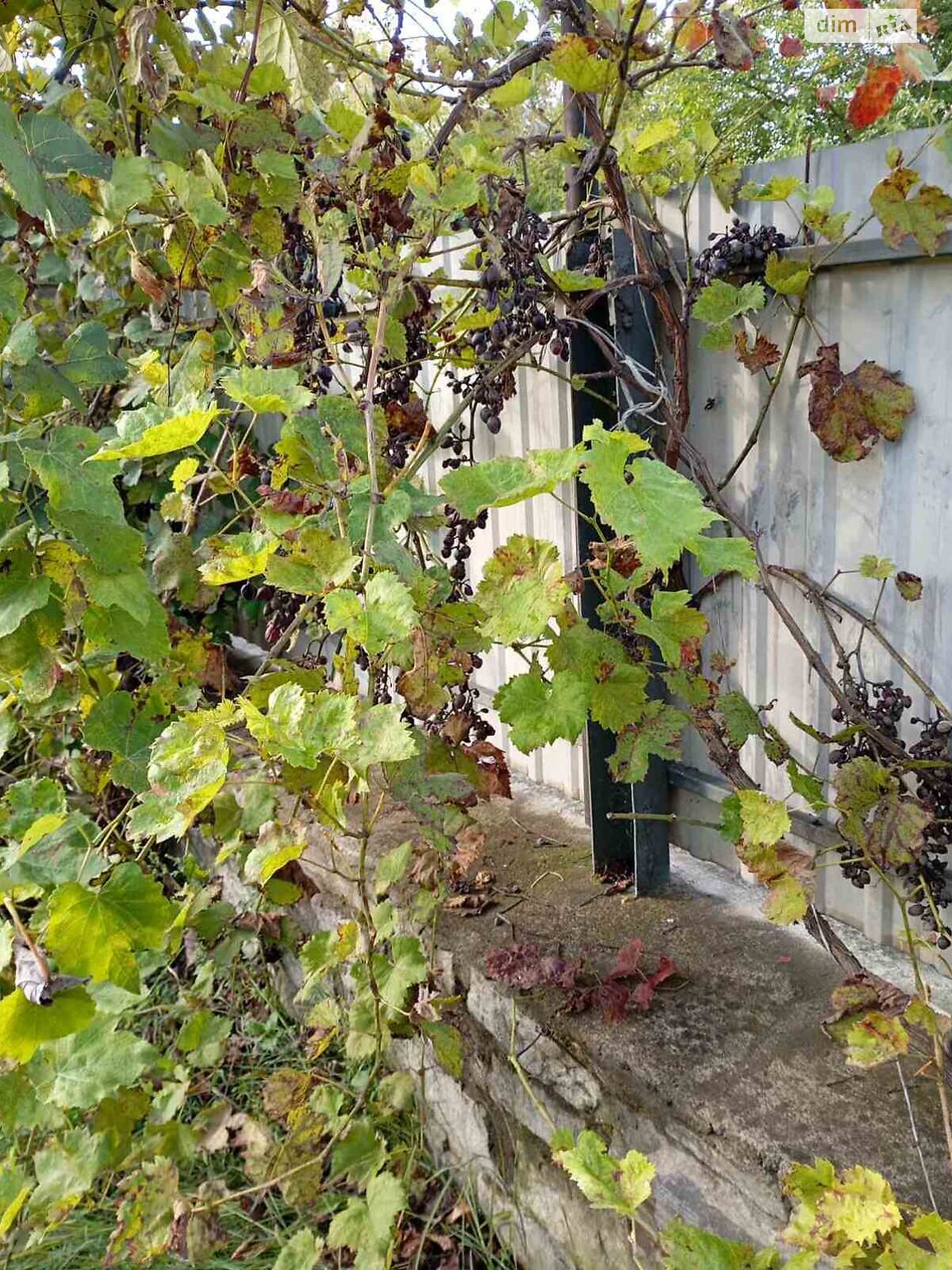 двухэтажный дом беседка, 78.8 кв. м, кирпич. Продажа в Вороновице фото 1