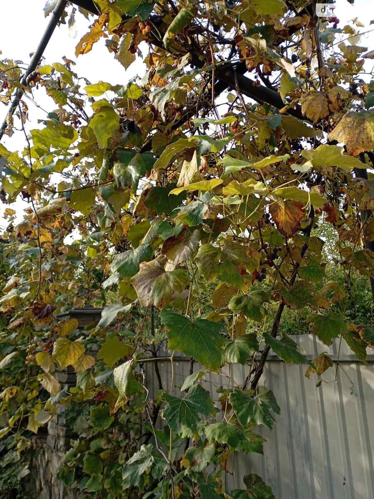 двухэтажный дом беседка, 78.8 кв. м, кирпич. Продажа в Вороновице фото 1