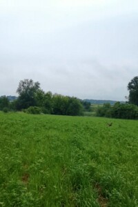 одноэтажный дом с верандой, 54.2 кв. м, глинобитный. Продажа в Вороновцах фото 2