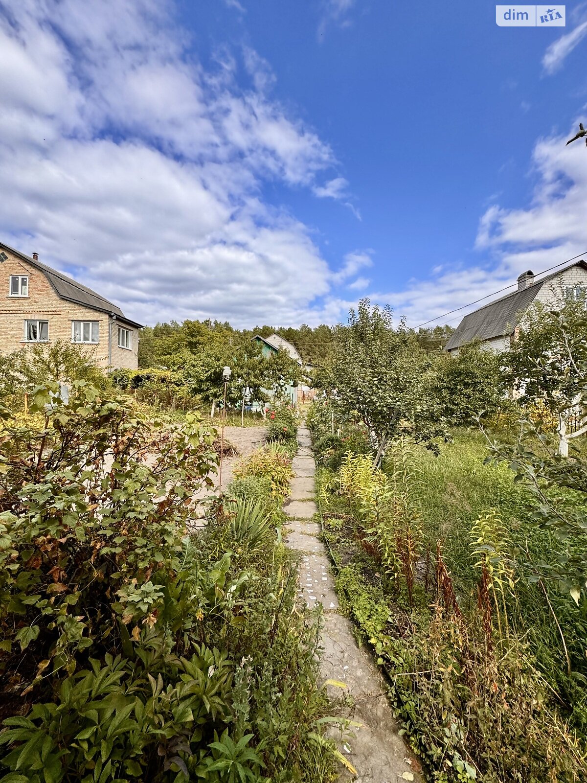 двоповерховий будинок бесідка, 65 кв. м, цегла. Продаж у Жукиному фото 1