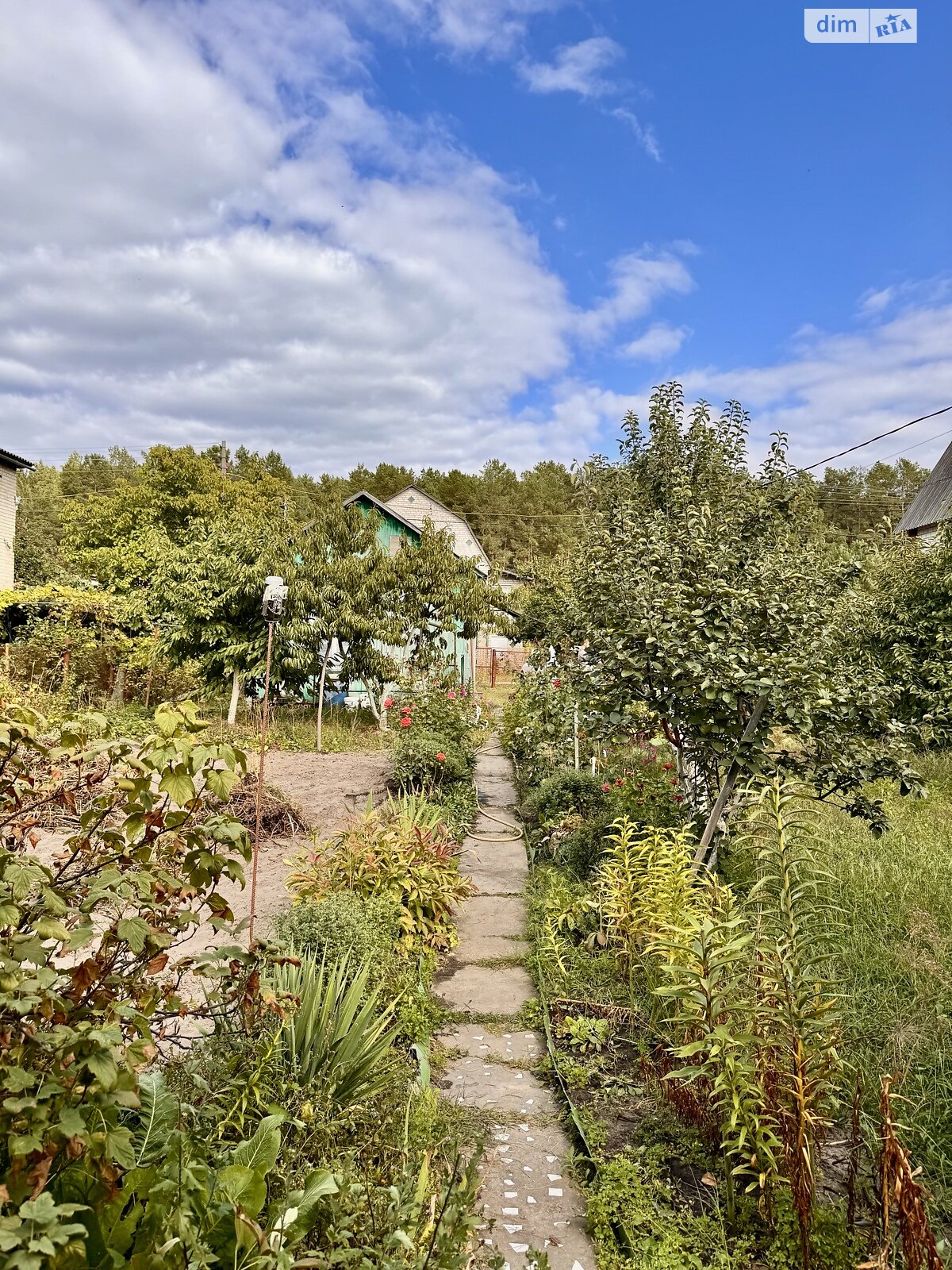 двоповерховий будинок бесідка, 65 кв. м, цегла. Продаж у Жукиному фото 1