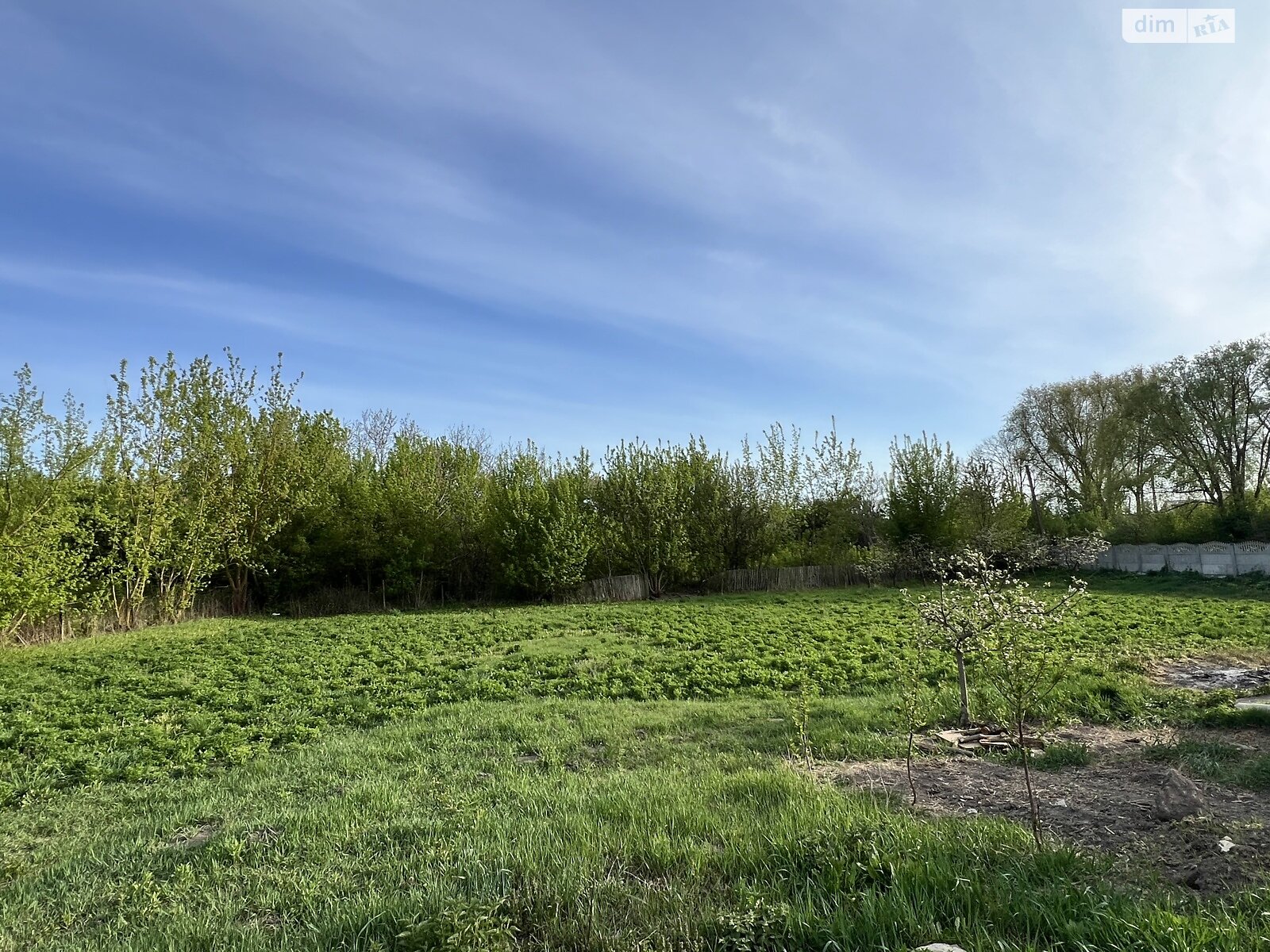 одноповерховий будинок з верандою, 78 кв. м, цегла. Продаж у Ворошилівці фото 1 одноповерховий будинок з верандою, 78 кв. м, цегла. Продаж у Ворошилівці фото 1