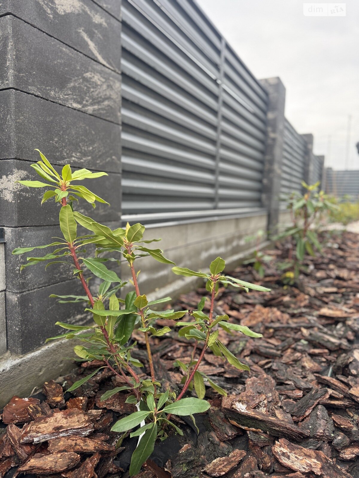 одноэтажный дом с верандой, 100 кв. м, кирпич. Продажа в Ворзеле фото 1