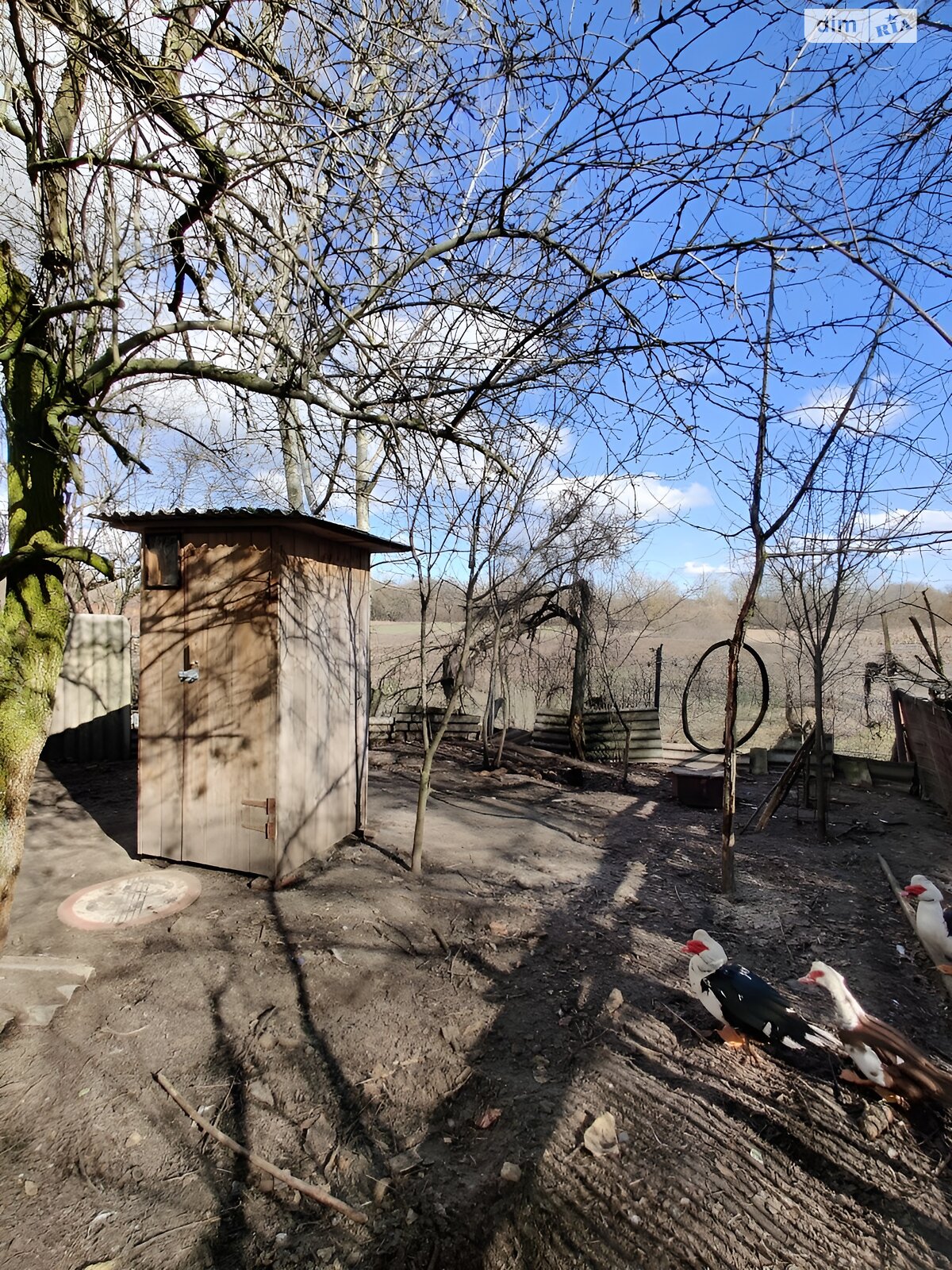 одноповерховий будинок з верандою, 70 кв. м, шлакоблок. Продаж у Вовчику фото 1 одноповерховий будинок з верандою, 70 кв. м, шлакоблок. Продаж у Вовчику фото 1