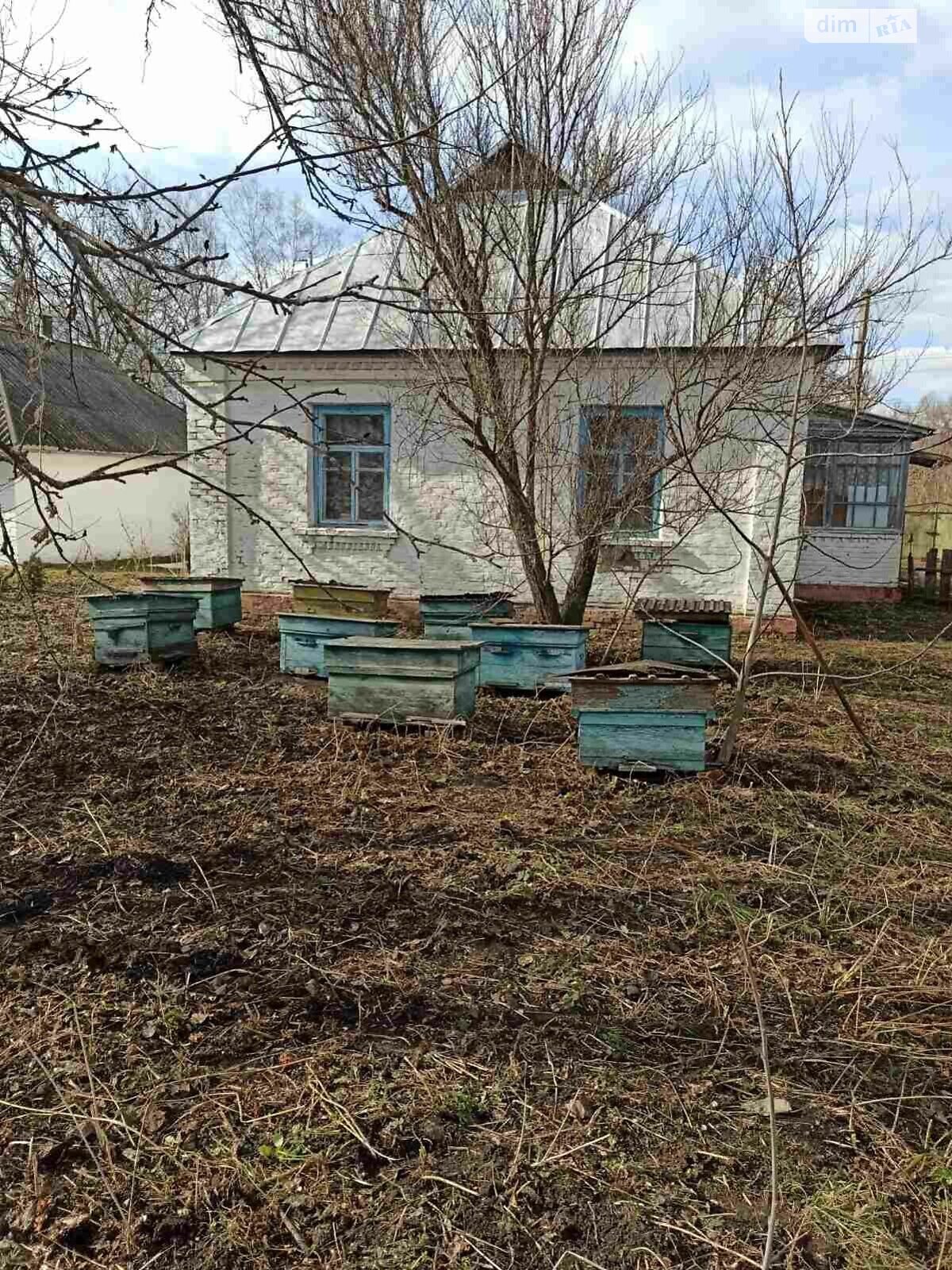 одноповерховий будинок з опаленням, 61 кв. м, цегла. Продаж у Войкове фото 1 одноповерховий будинок з опаленням, 61 кв. м, цегла. Продаж у Войкове фото 1