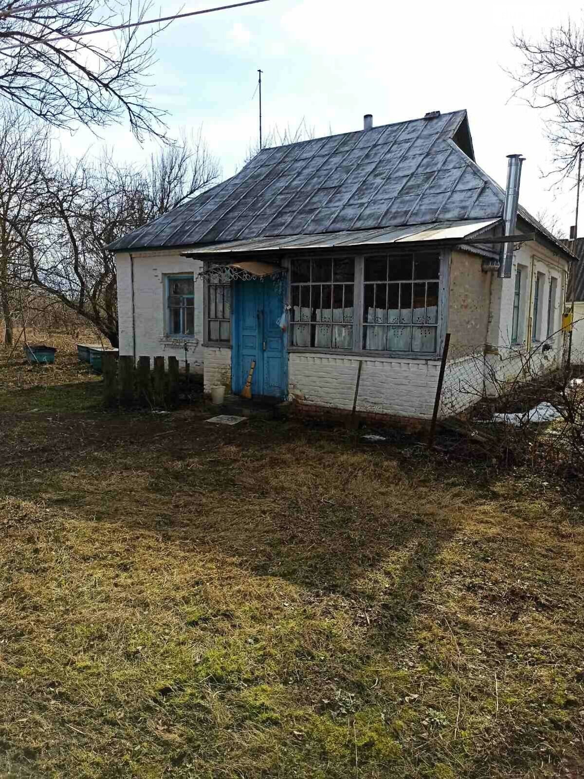 одноповерховий будинок з опаленням, 61 кв. м, цегла. Продаж у Войкове фото 1 одноповерховий будинок з опаленням, 61 кв. м, цегла. Продаж у Войкове фото 1