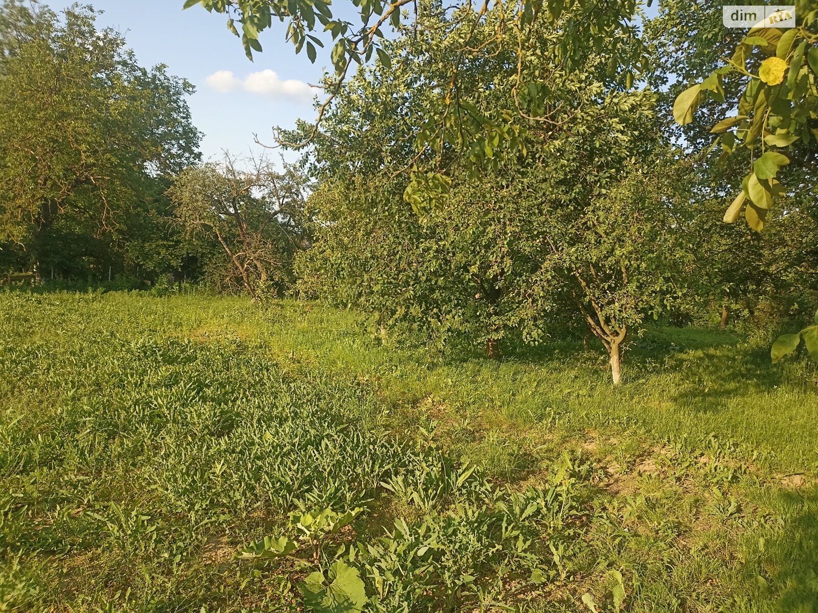 одноповерховий будинок бесідка, 61 кв. м, глинобитний. Продаж у Войнашівці фото 1 одноповерховий будинок бесідка, 61 кв. м, глинобитний. Продаж у Войнашівці фото 1