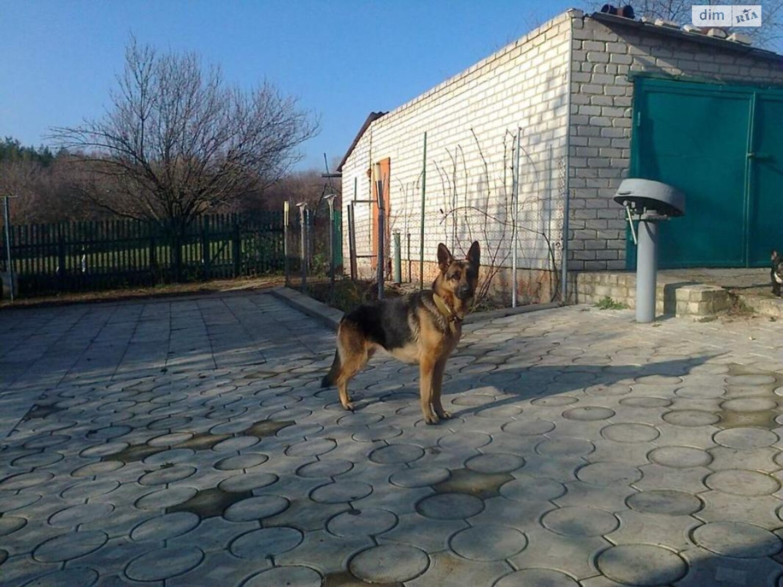одноповерховий будинок з гаражем, 67 кв. м, цегла. Продаж у Всесвятському фото 1 одноповерховий будинок з гаражем, 67 кв. м, цегла. Продаж у Всесвятському фото 1