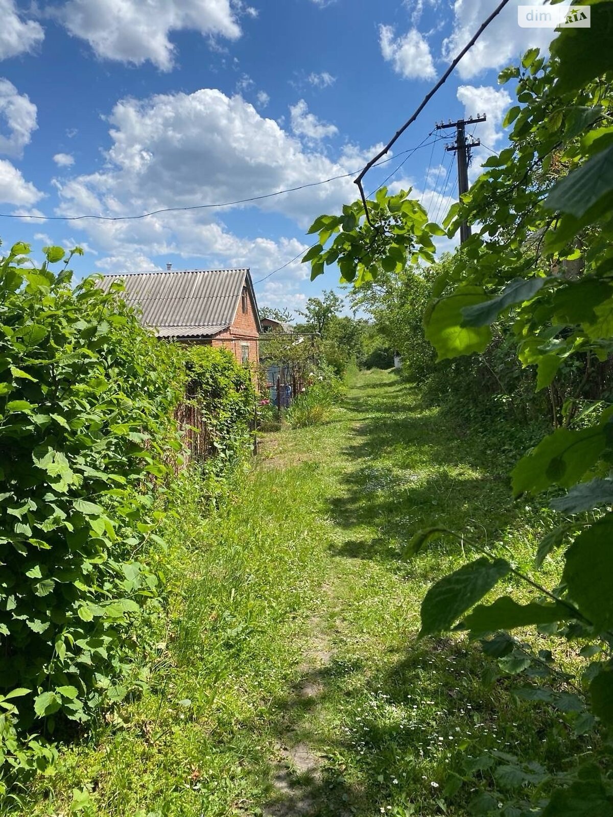 одноповерховий будинок з гаражем, 60 кв. м, цегла. Продаж у Видрові Доли фото 1 одноповерховий будинок з гаражем, 60 кв. м, цегла. Продаж у Видрові Доли фото 1