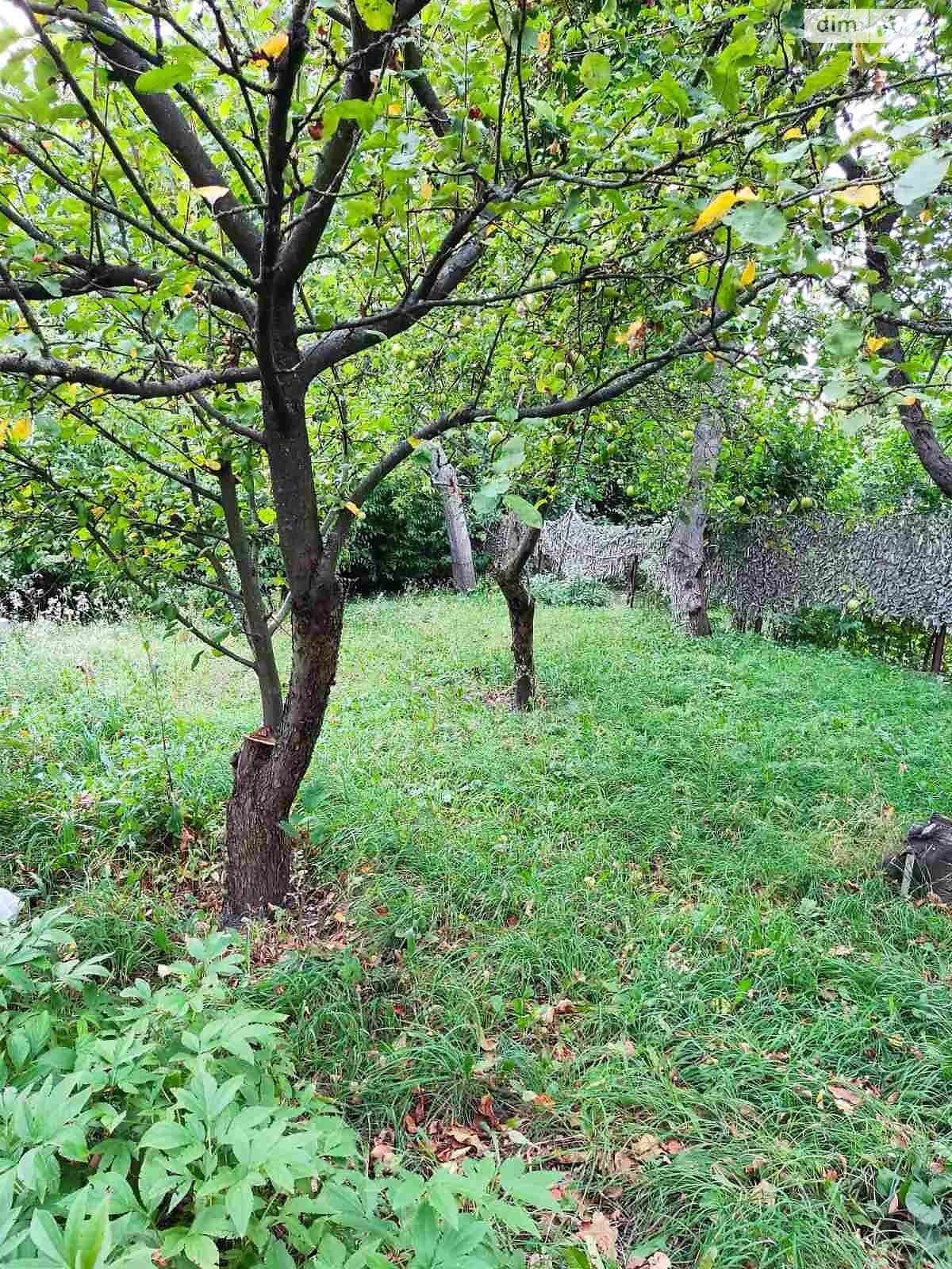 одноповерховий будинок з гаражем, 60 кв. м, цегла. Продаж у Видрові Доли фото 1 одноповерховий будинок з гаражем, 60 кв. м, цегла. Продаж у Видрові Доли фото 1