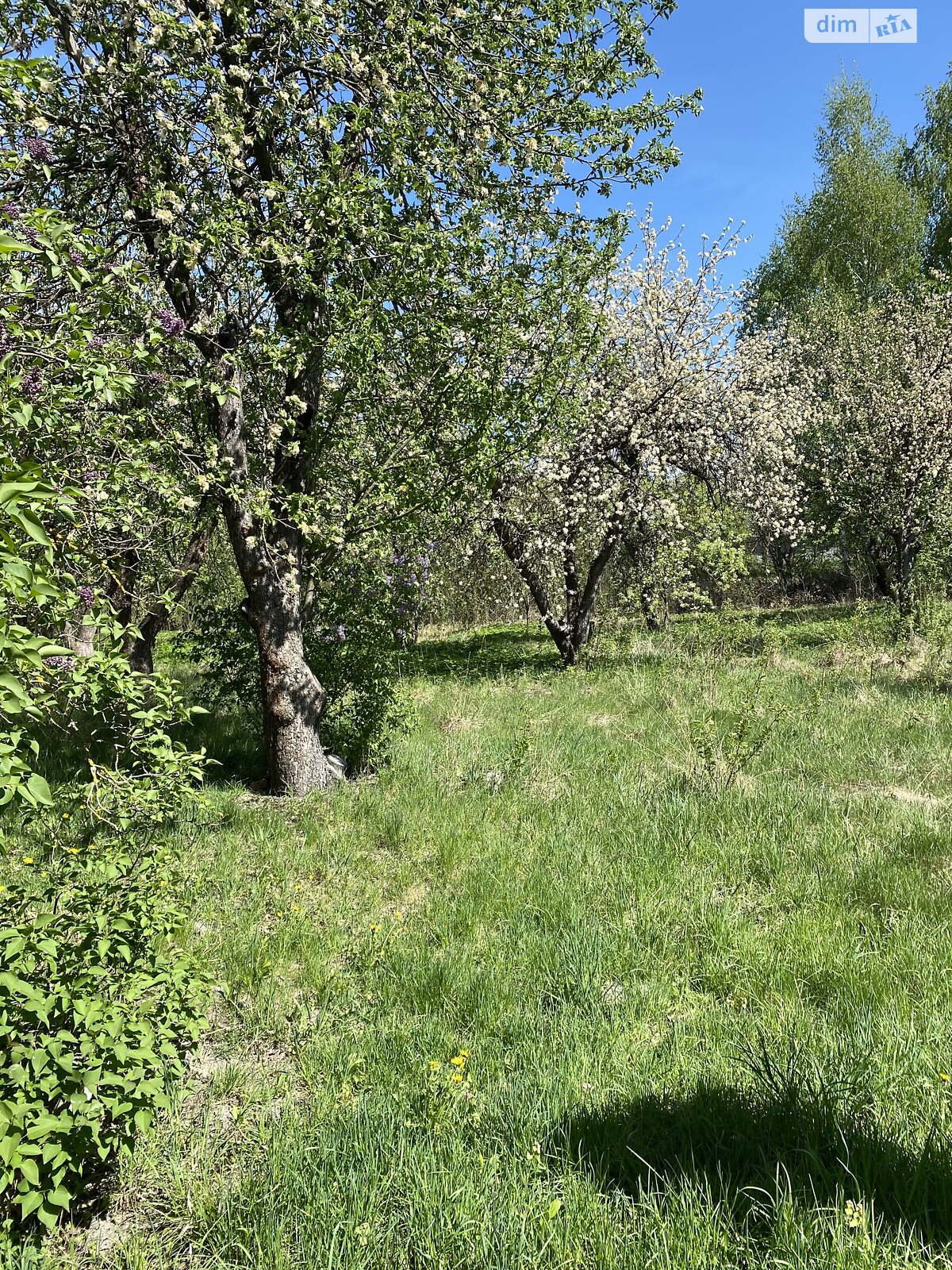 одноэтажный дом с отоплением, 71.6 кв. м, кирпич. Продажа в Выгоде фото 1 одноэтажный дом с отоплением, 71.6 кв. м, кирпич. Продажа в Выгоде фото 1
