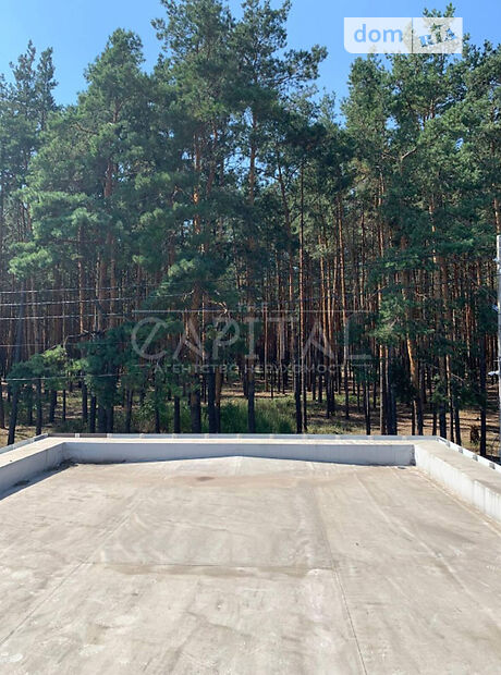 двухэтажный дом, 220 кв. м, кирпич. Продажа в Вышгороде район Вышгород фото 1 двухэтажный дом, 220 кв. м, кирпич. Продажа в Вышгороде район Вышгород фото 1