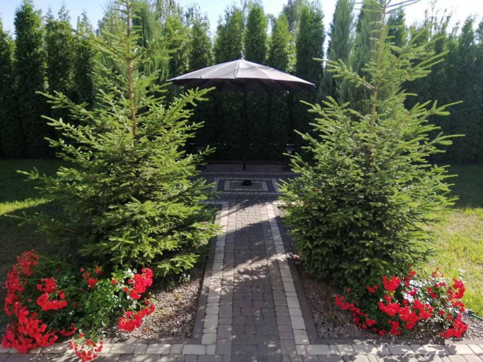 двоповерховий будинок з гаражем, 250 кв. м, пінобетон. Продаж в Вишгороді фото 1 двоповерховий будинок з гаражем, 250 кв. м, пінобетон. Продаж в Вишгороді фото 1