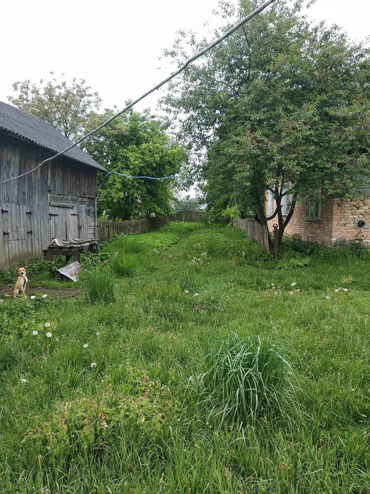 одноповерховий будинок з гаражем, 96.6 кв. м, цегла. Продаж в Яблунівці, район Рясне фото 1 одноповерховий будинок з гаражем, 96.6 кв. м, цегла. Продаж в Яблунівці, район Рясне фото 1