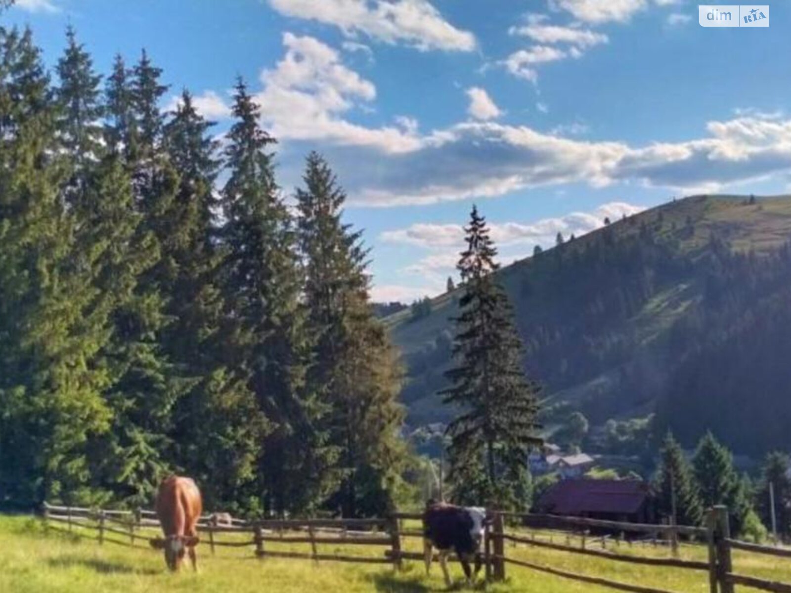 двоповерховий будинок, 212.1 кв. м, дерево та цегла. Продаж у Яблуниці фото 1 двоповерховий будинок, 212.1 кв. м, дерево та цегла. Продаж у Яблуниці фото 1