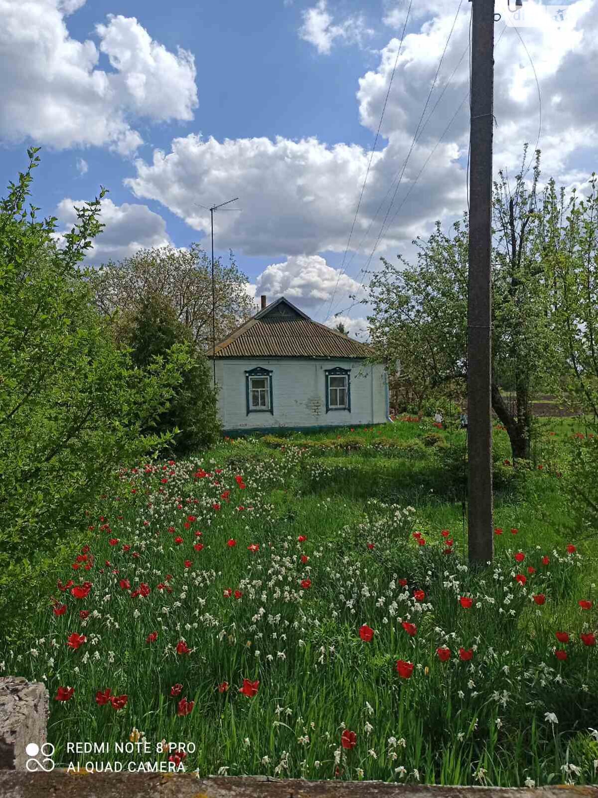 одноэтажный дом, 81 кв. м, дерево и кирпич. Продажа в Черкасовке фото 1 одноэтажный дом, 81 кв. м, дерево и кирпич. Продажа в Черкасовке фото 1