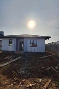 одноповерховий будинок, 100 кв. м, кирпич. Продаж у Якушинцях фото 2