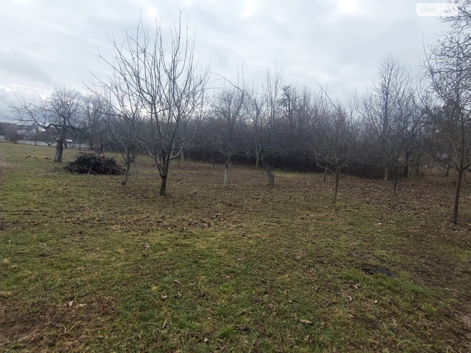 одноповерховий будинок з гаражем, 76 кв. м, цегла. Продаж у Якушинцях фото 1 одноповерховий будинок з гаражем, 76 кв. м, цегла. Продаж у Якушинцях фото 1