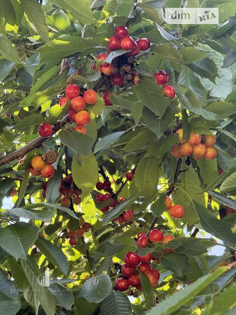 Будинок за адресою вул. Підлісна (площа 137 м²) - Atlanta.ua - фото 26