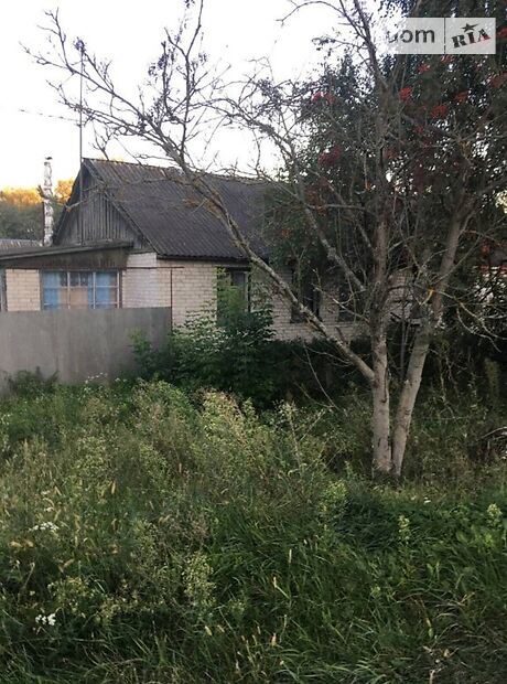 одноповерховий будинок з садом, 84 кв. м, цегла. Продаж у Ямполі фото 1 одноповерховий будинок з садом, 84 кв. м, цегла. Продаж у Ямполі фото 1