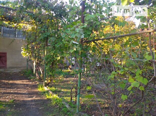 одноэтажный дом с садом, 1 кв. м, кирпич. Продажа в Ямполе фото 1 одноэтажный дом с садом, 1 кв. м, кирпич. Продажа в Ямполе фото 1
